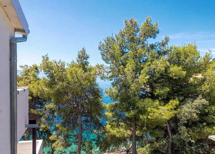 Seaside Secluded Cove Torac, Hvar - 575 Lejlighed *