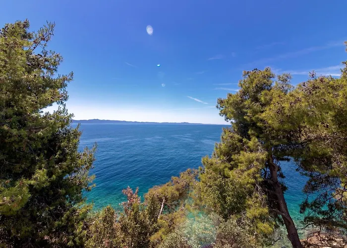 Seaside Secluded Cove Torac, Hvar - 575 Lejlighed Gdinj
